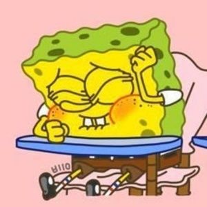 Meet your Posher, Mia